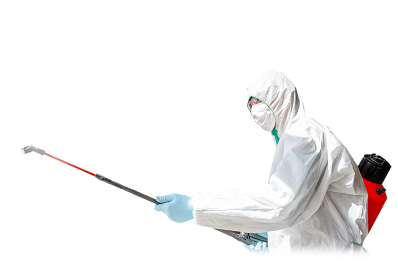 消毒サービスチケット